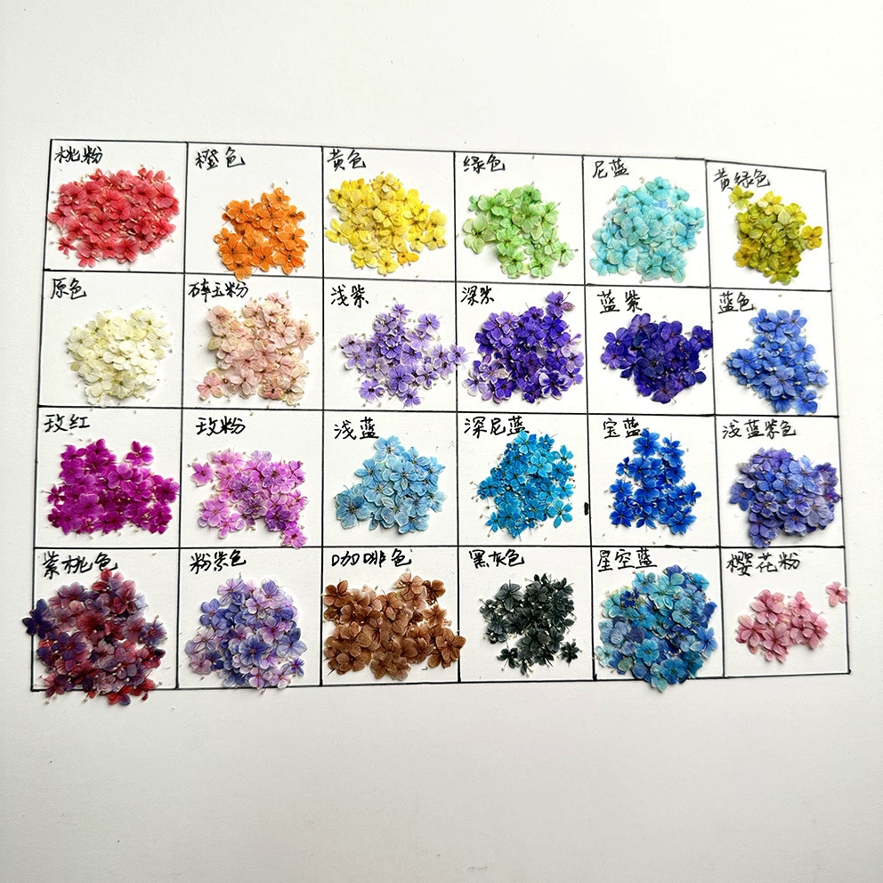 Изумрудная жемчуг с тиснением на фабрике Японский стиль мини-маникюр