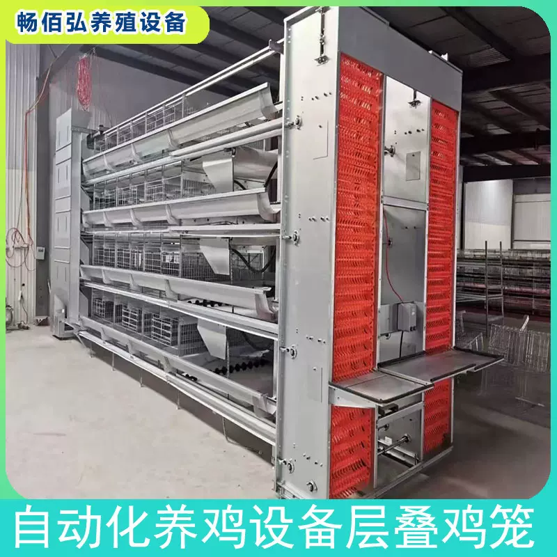 大层叠养殖设备蛋鸡自动化笼具热镀锌蛋鸡笼肉鸡加密加粗
