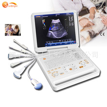 FBCɫBxy̥ĄyʽղʳCl