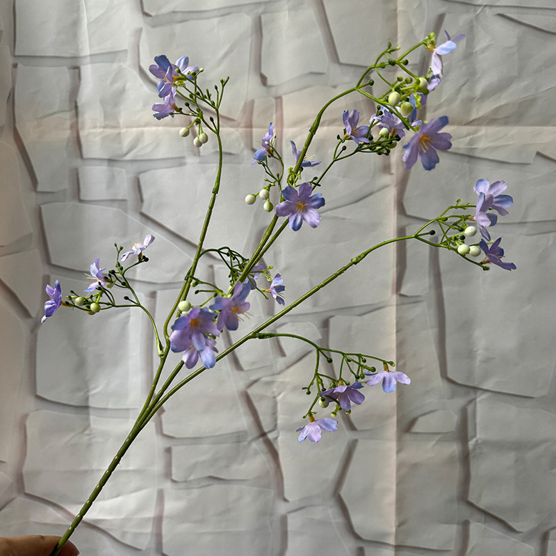 Dixiang 작은 꽃-보라색