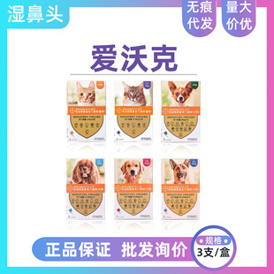 ���ֿ�؈�乷���w���w����x�΄�������x������\����һ�w����