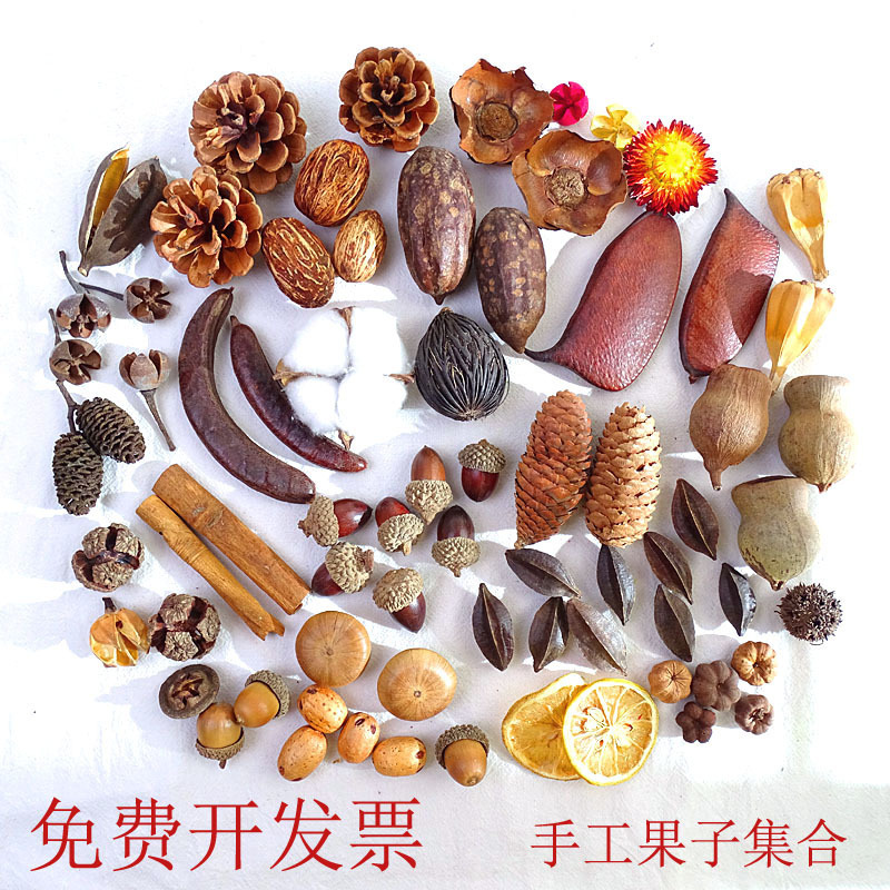 Dried Flower Decoration Cotton Acorn Pine Fruit Branch Leaf Lotus Creative diy Kindergarten Handmade Environmental Creation Material Package
