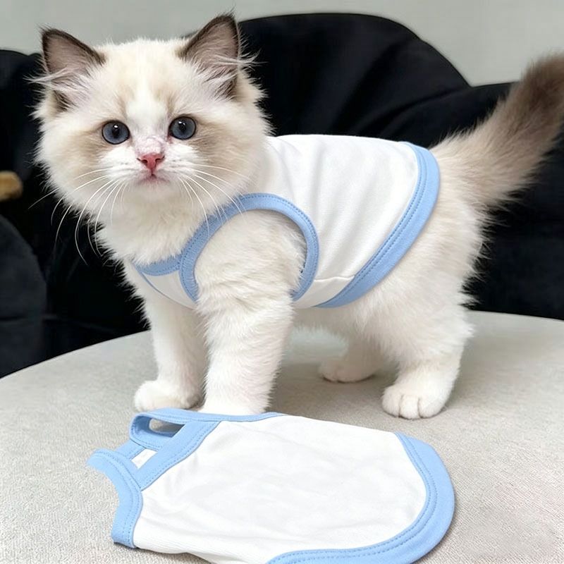 跨境宠物比熊猫咪雪纳瑞泰迪狗狗宠物衣服夏装空白版DYI吊带背心