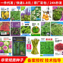葫芦种子特小手捻葫芦非常规类 农家菜园四季种植观种籽代发批发