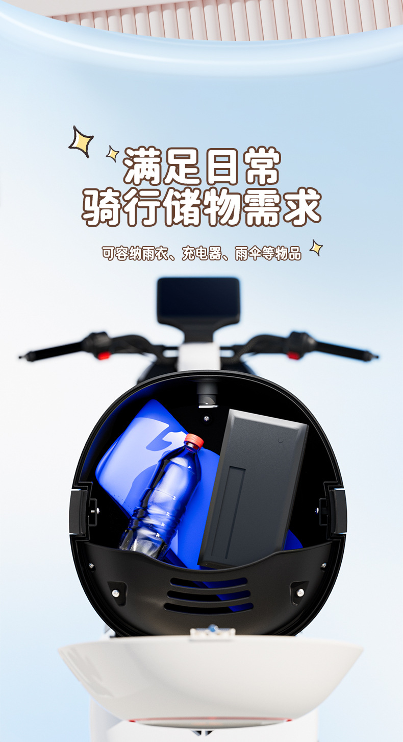 Universal Electric Bicycle Trunk for Yadea, Aima, Xinrili Electric Bikes with Storage Box