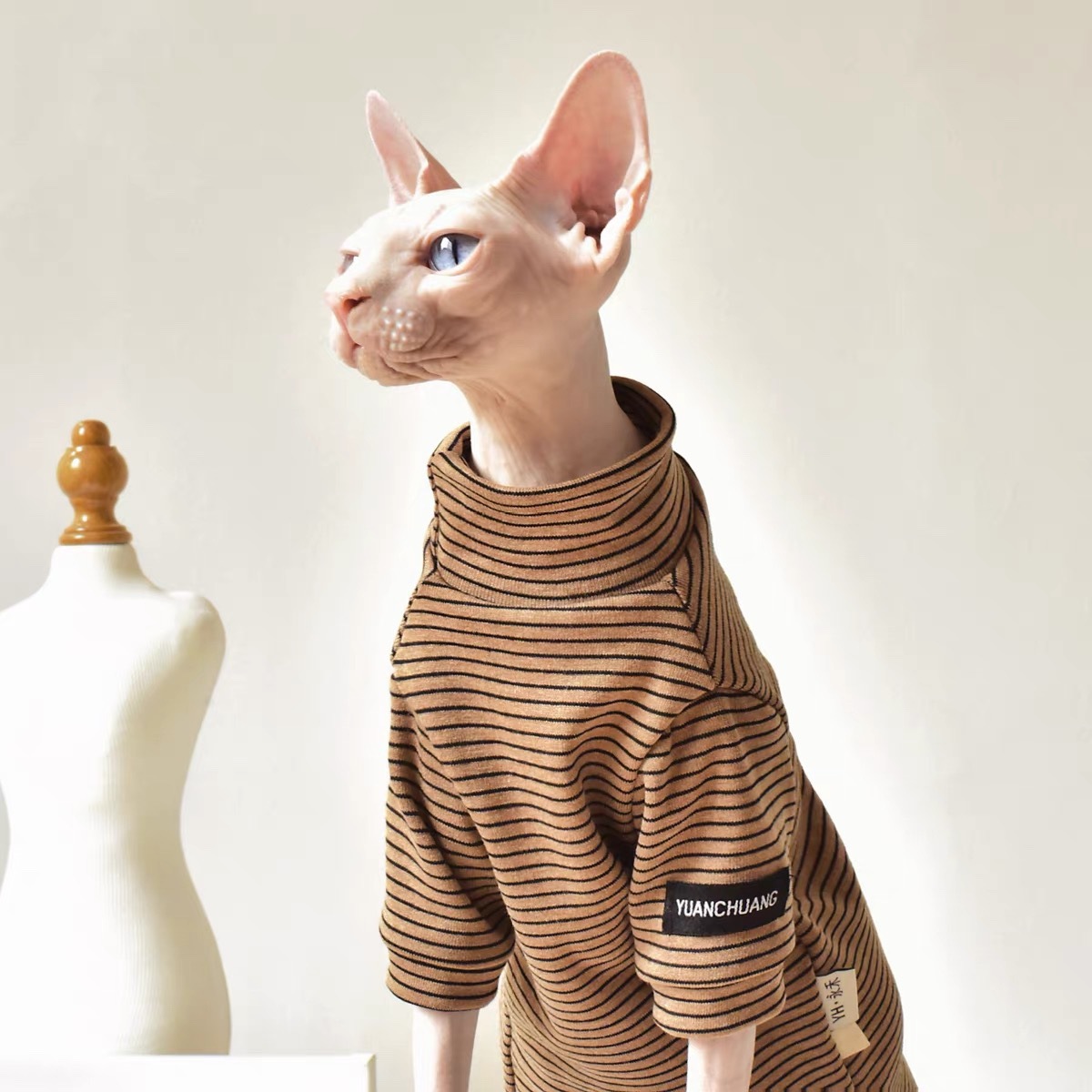Sphynx Cat in Army Green