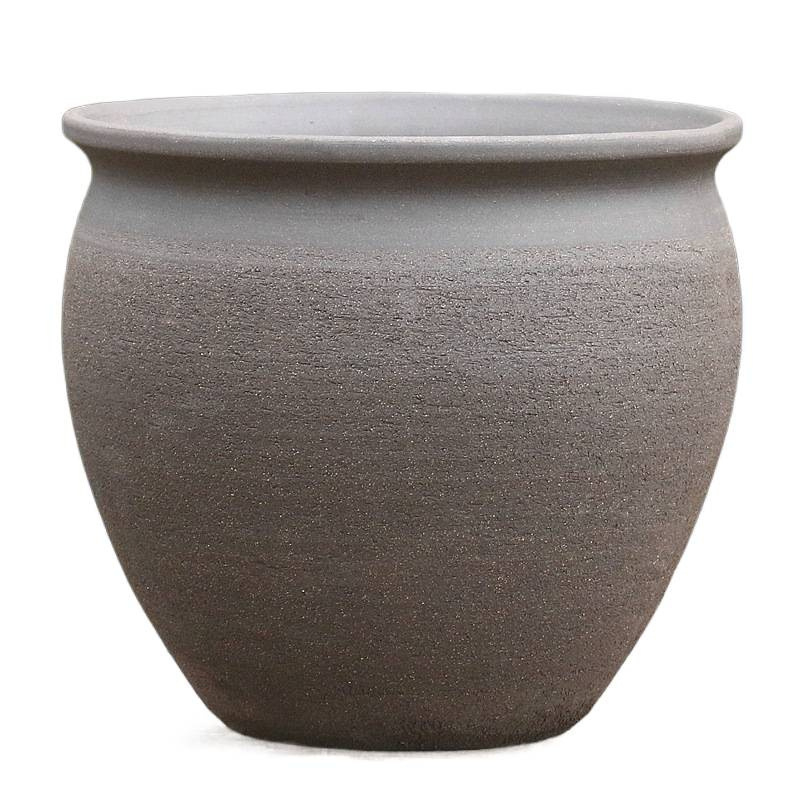 vasijas de cerámica de tierra absorción de agua, vasijas de cerámica transpirables, flores frescas, plantas verdes en el desierto, rosa, ciruela triangular, vasijas de cerámica de estilo retro
