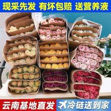 鲜花基地直发玫瑰花花束便宜花材直批水养家庭插花玫瑰保鲜剂