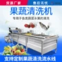 高压气泡喷淋水果洗果机