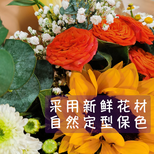 浮游花 干花 永生花 DIY滴胶填充花材 迷你压花材料 云南干花批发