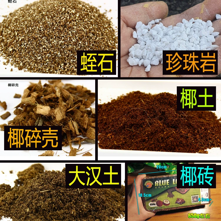 Рептилия кокосовый кокосовый кирпич Коробка черепахи дождевой лес подкладка для земли