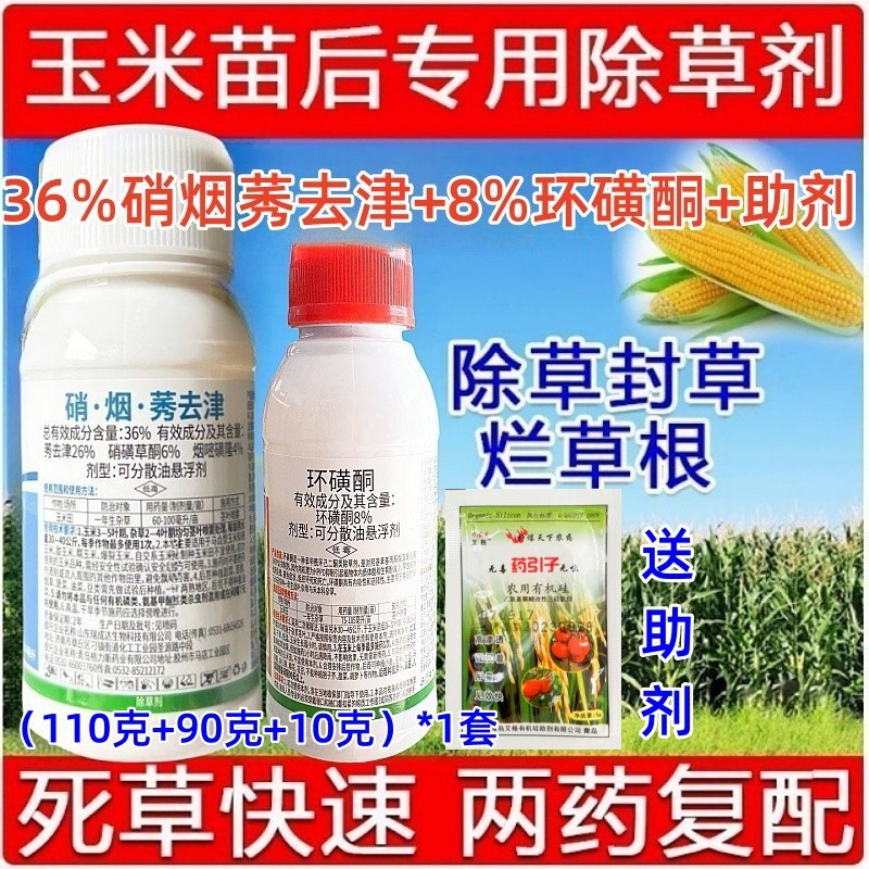 8%环磺酮36%硝烟莠去津硝磺草酮玉米苞米棒子田苗后专用除草剂