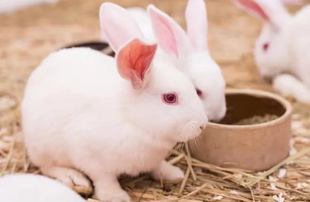 微信图片_202307241448107