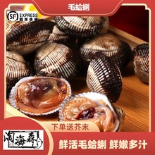 �����r���r��ë���r��r�خaؐ��r�F䁬F�l��ë�����r