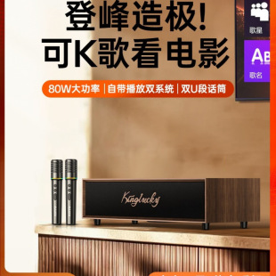 Karaoke Bluetooth Audio Karaoke Speaker Home Theater Ktv Set Singing Retro Jukebox Amplifier All-In-One Machine 0K
