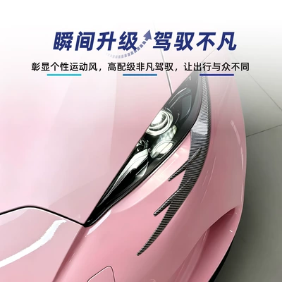 ABS car sticker spoiler cross-border – Lamp eyebrow