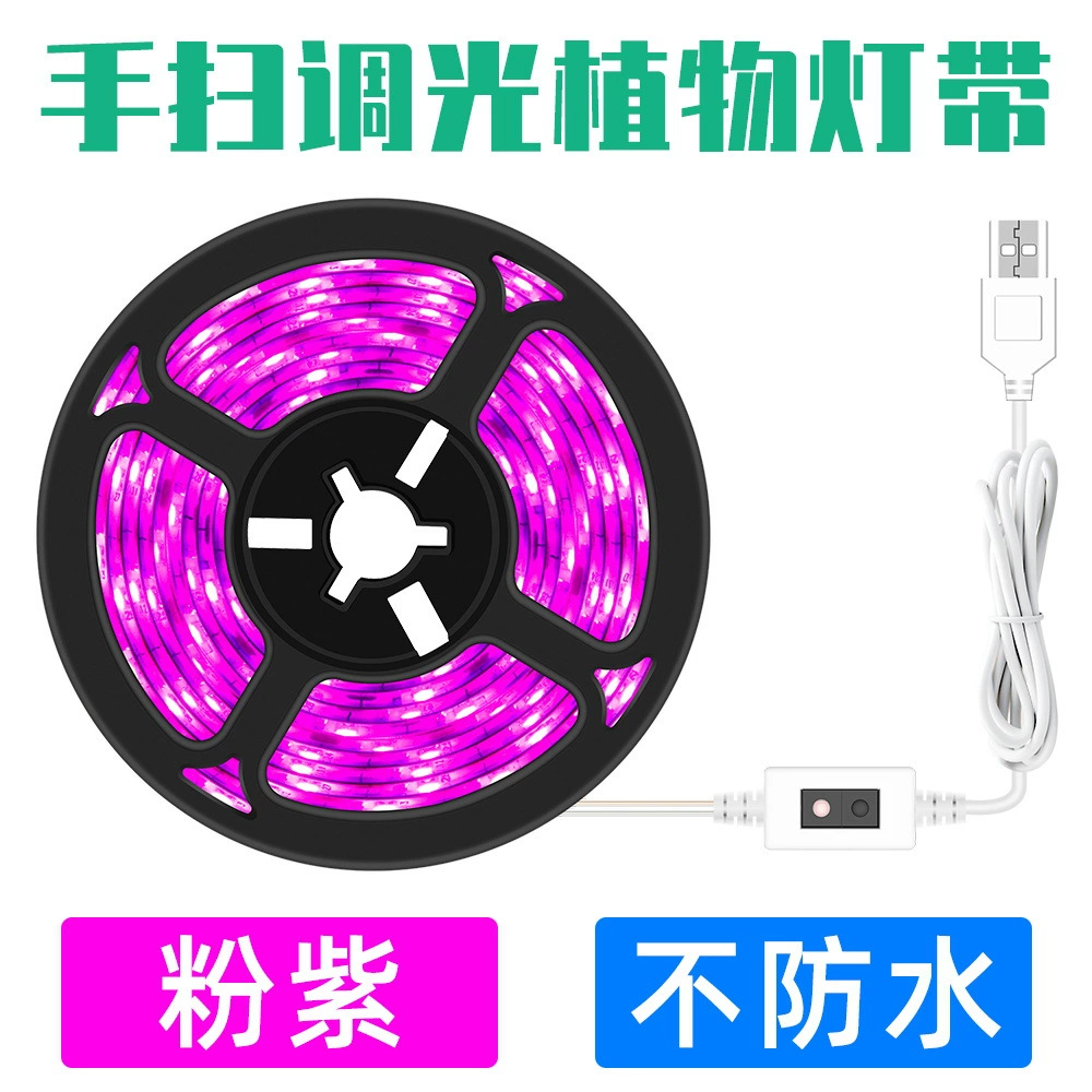 LED、、、