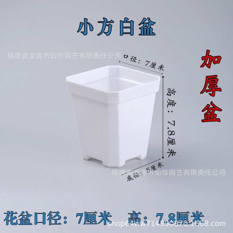 小白盆.jpg