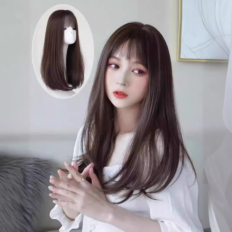 Wig Women's Long Hair Real-Life Silk Hair Needle Skin Free Dying Fashion Style Black Long Straight Hair Wig Full Head Cover