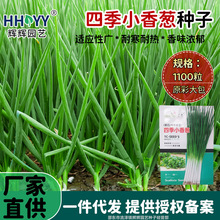 �ļ�С���[�N��С�[�N�ӷN���߲˷N���̨���Լ�ͥ�Nֲ�߲˷N��