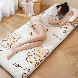 Sleeping on the Floor, Sleeping Mat, Soft Cushion, Student Dormitory Mattress, Foldable Single Sponge Mattress, Rental