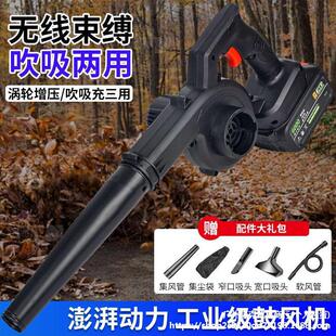 Powerful hair dryer industrial grade lithium battery dust removal gun wireless snow dust cleaning vacuum cleaner deciduous barbecue blower