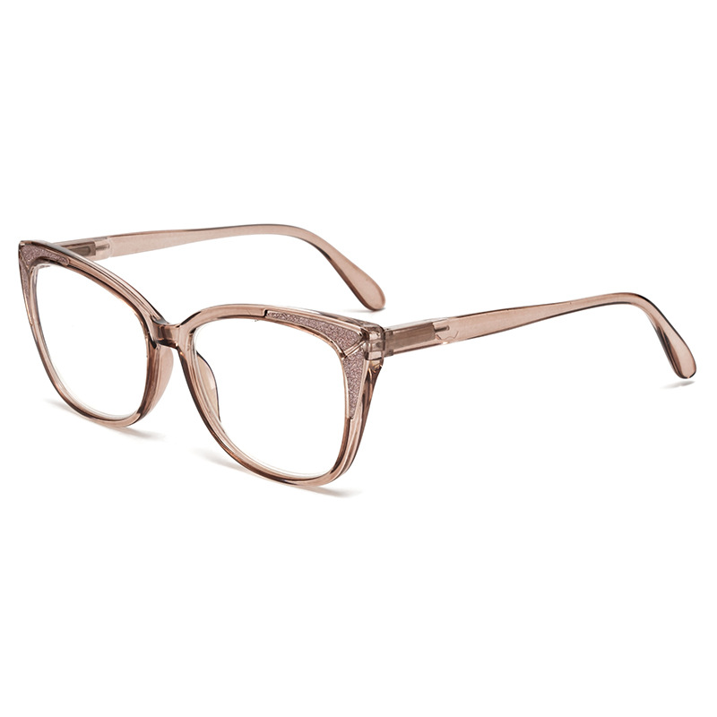 투명한 차 프레임