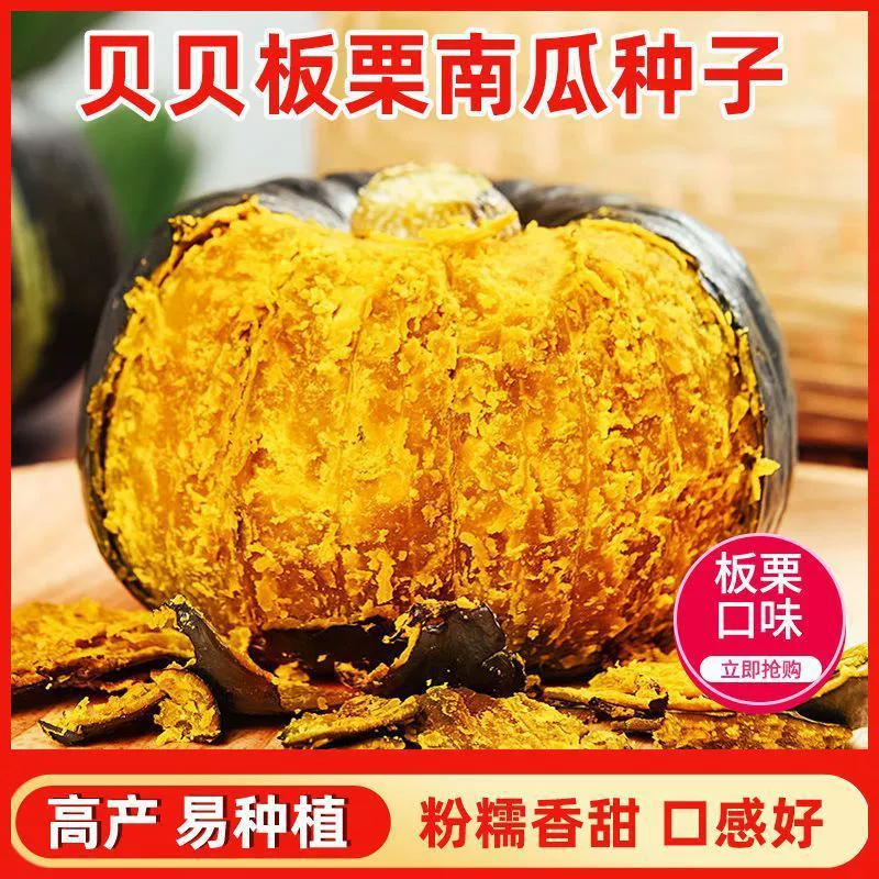 Высоковысокопродуктивные зеленые семена тыквы для малышей, новый сорт маленькой тыквы японского каштана, сладкие и ароматные клейкие весенне-осенние овощные семена.
