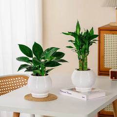 二段自吸式植木鉢プラスチック透明増粘樹脂水耕栽培ラウンド立体デスクトップ可視水位植木鉢