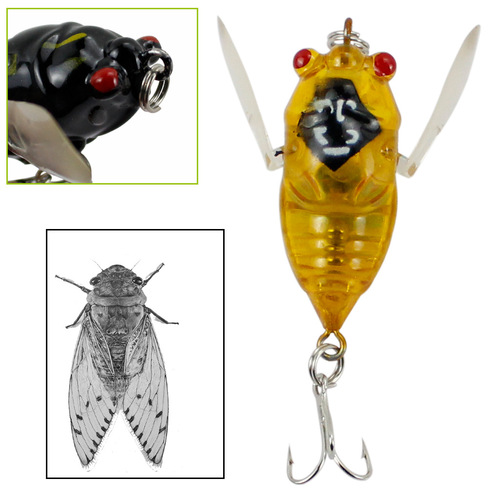 Hunting height, bionic cicada lure, bionic fake bait, insect water surface system, popa cicada cross-border lure, bionic hard bait