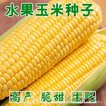 ����ˮ�����׷N����������֭����߮a�����������ļ���������