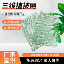 ���Sֲ���Wɽ�w�o�¾G�~�W�G����ˮ�Wֲ�������W���o���ø��ܶ�