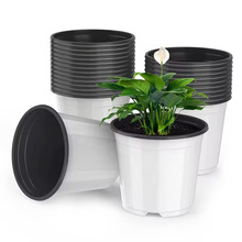 �羳�pɫ�������B���⻨���pɫ����С����Double Color Soft Pots
