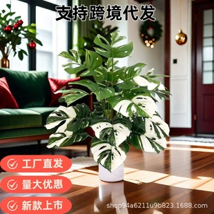 �Wʽ�b羳����Gֲ��ֲ���b߼��а��\����������������[��