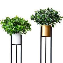 �����������~�Ӱ���ľ�Gֲ���Լٻ��[������ֲ����@�҃Ȇ�ֻ/��