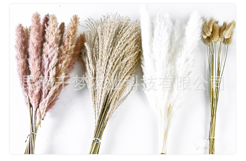 小芦苇组合详情页_02