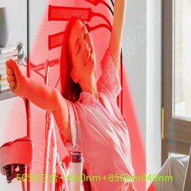 植物生长灯;红外线灯;其他专用灯具