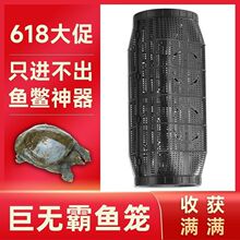 2025���ͱ����̖��̖ͨ���~�\�X�~�r�\���q�з���������T�~�\