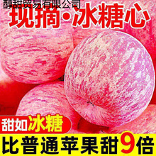 陕西延安洛川苹果水果新鲜当季冰糖心脆甜整箱红富士包邮