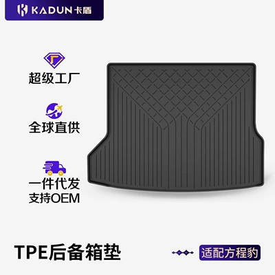 Flash Charging Version Vehicles, All-Weather Tpe – Trunk Mat