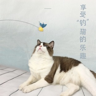 ����؈�S�����a�֗U�Q�O䓽z푼�����С�۷����P���ˌ���؈����Ʒ