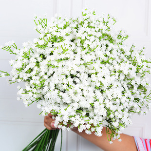 ����M���� �����c�b�������������ܛ�z�ָ�3��M���Ƿ��滨