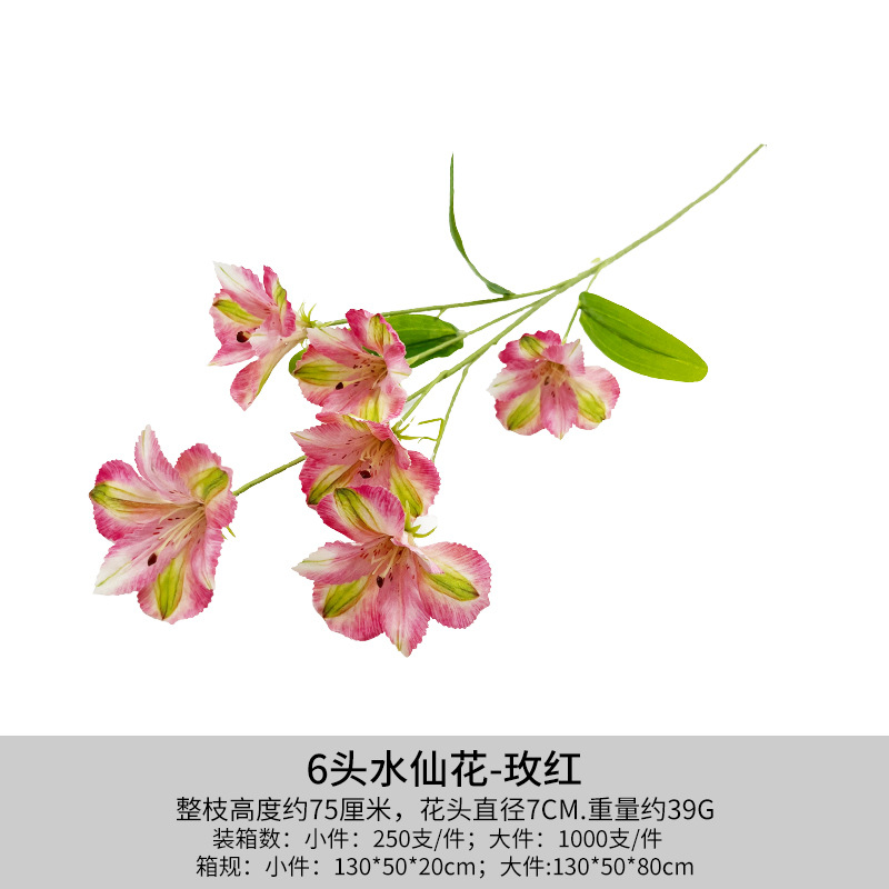 로즈 레드