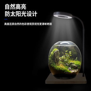 Led Plant Growth Lamp Micro Landscape Lamp Bamboo Board Lamp Wooden Board Lamp Fish Tank Lamp Moss Lamp Succulent Plant Fill Light