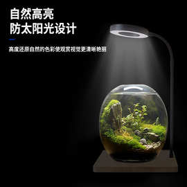LED植物生长灯微景观灯竹板灯木板灯鱼缸灯苔藓灯多肉植物补光灯