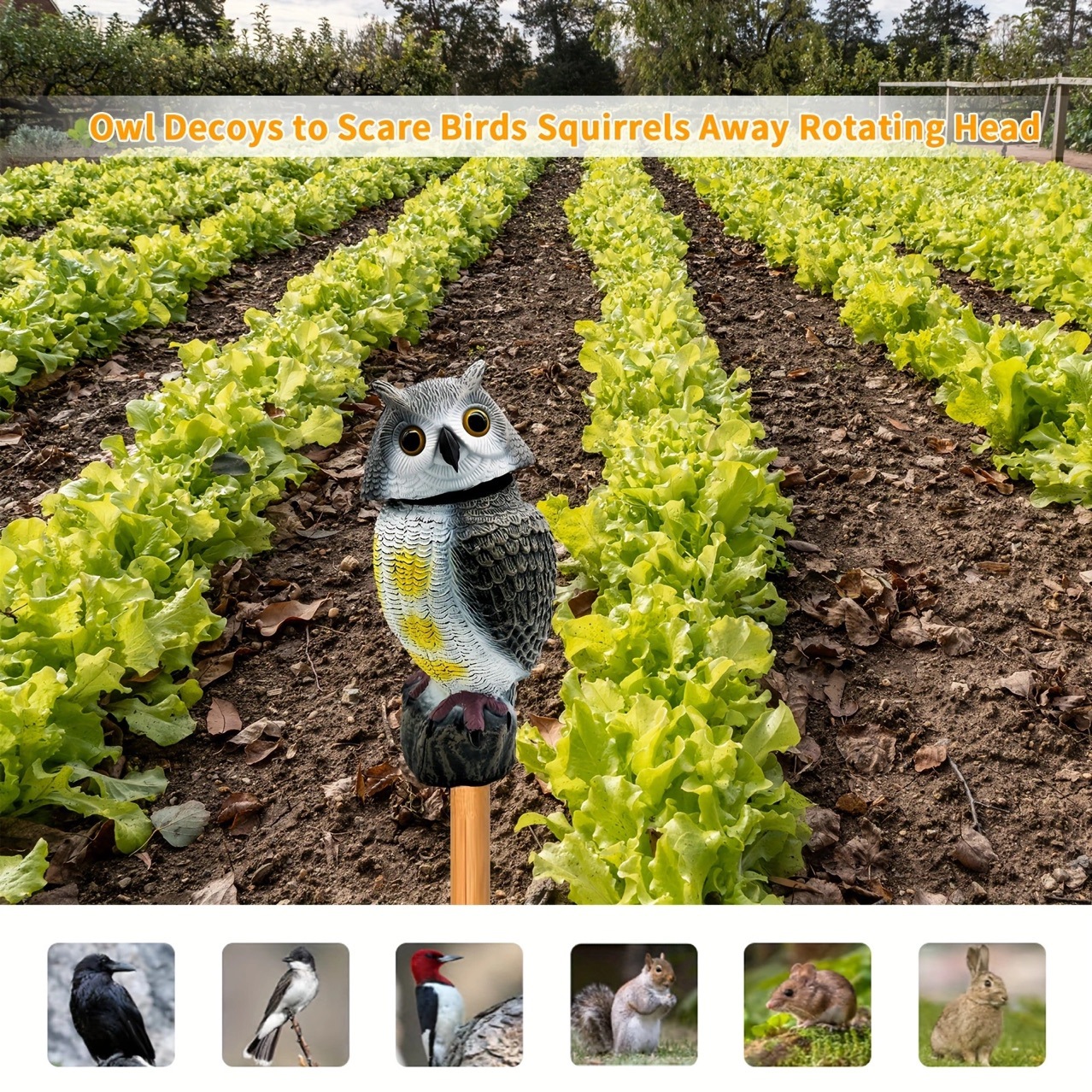Amazon simulación de plástico de estómago blanco búho cabeza giratoria jardín terraza ornamentos repelentes de ratas pájaros Shenji