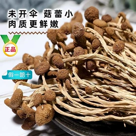 其他药食同源;花果茶;其他香辛料