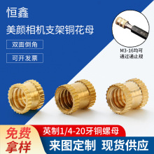 1/4-20Ӣ���pͨ�L���~Ƕ�����ėU�A����ĸ��ɫ�����~�ݽz�S�����l