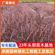 ݻl~β  ر^~ݵֲ@o¹ľ