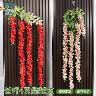 �L�U4�潑��֦�����L��ֲ�ａ�����滨�ڒ��픻�c�����b����l